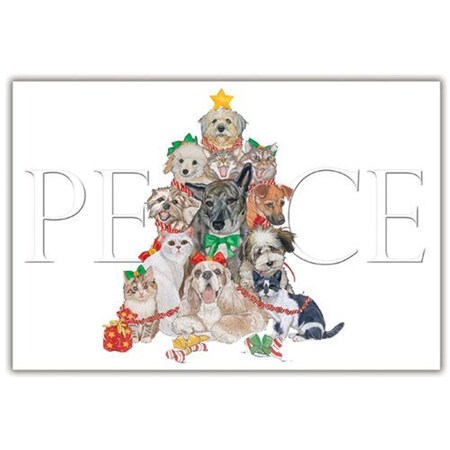 Pipsqueak Productions Mix Dog With Cat Holiday Boxed Cards C870